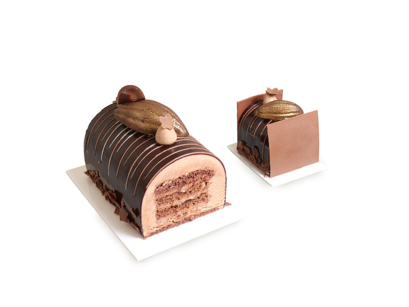 Samba bûche